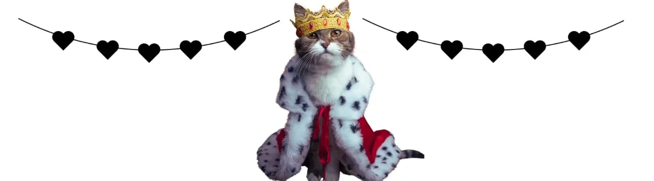 Asil Erkek Kedi İsimleri