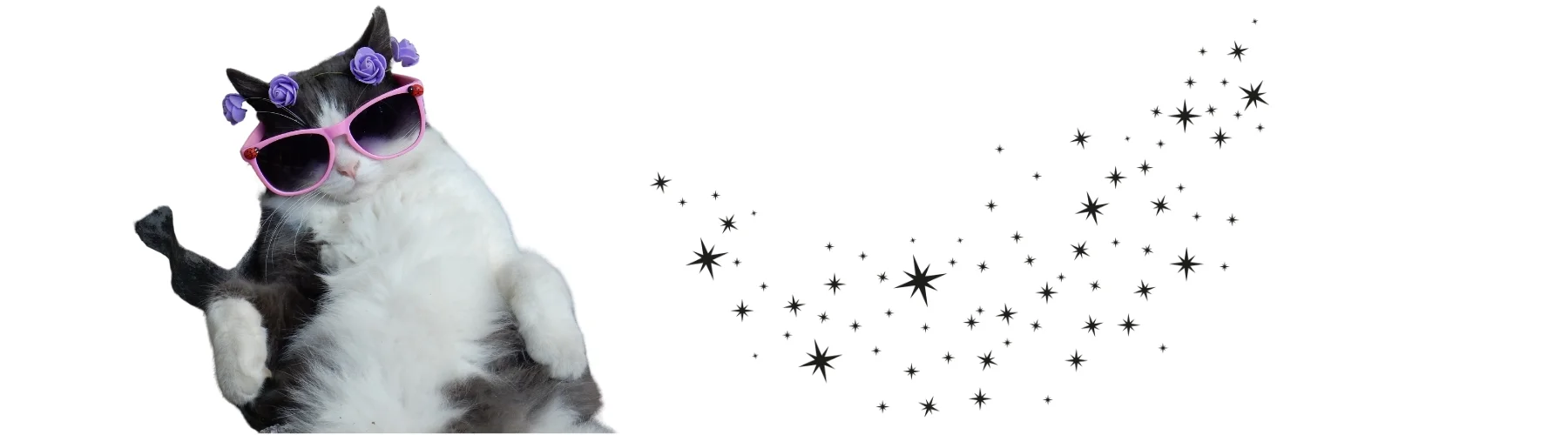 Modern Erkek Kedi İsimleri