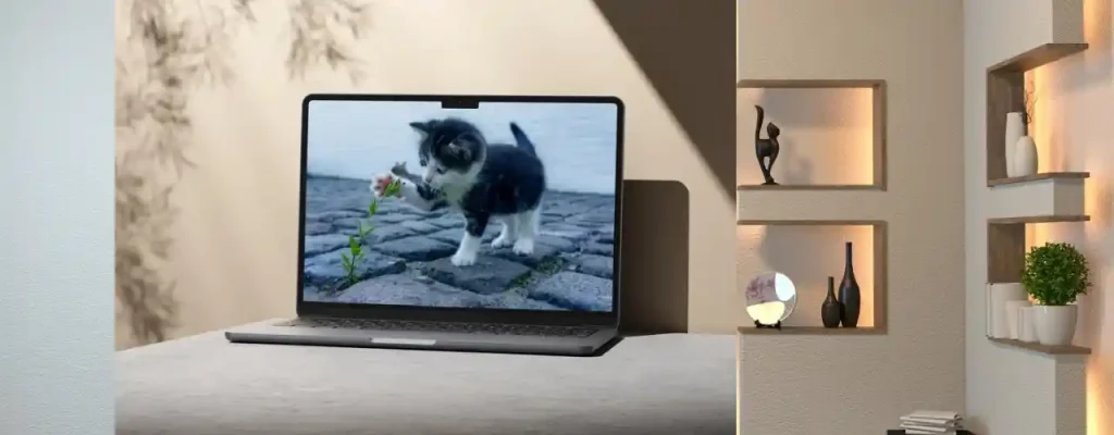 Klasik Erkek Kedi İsimleri