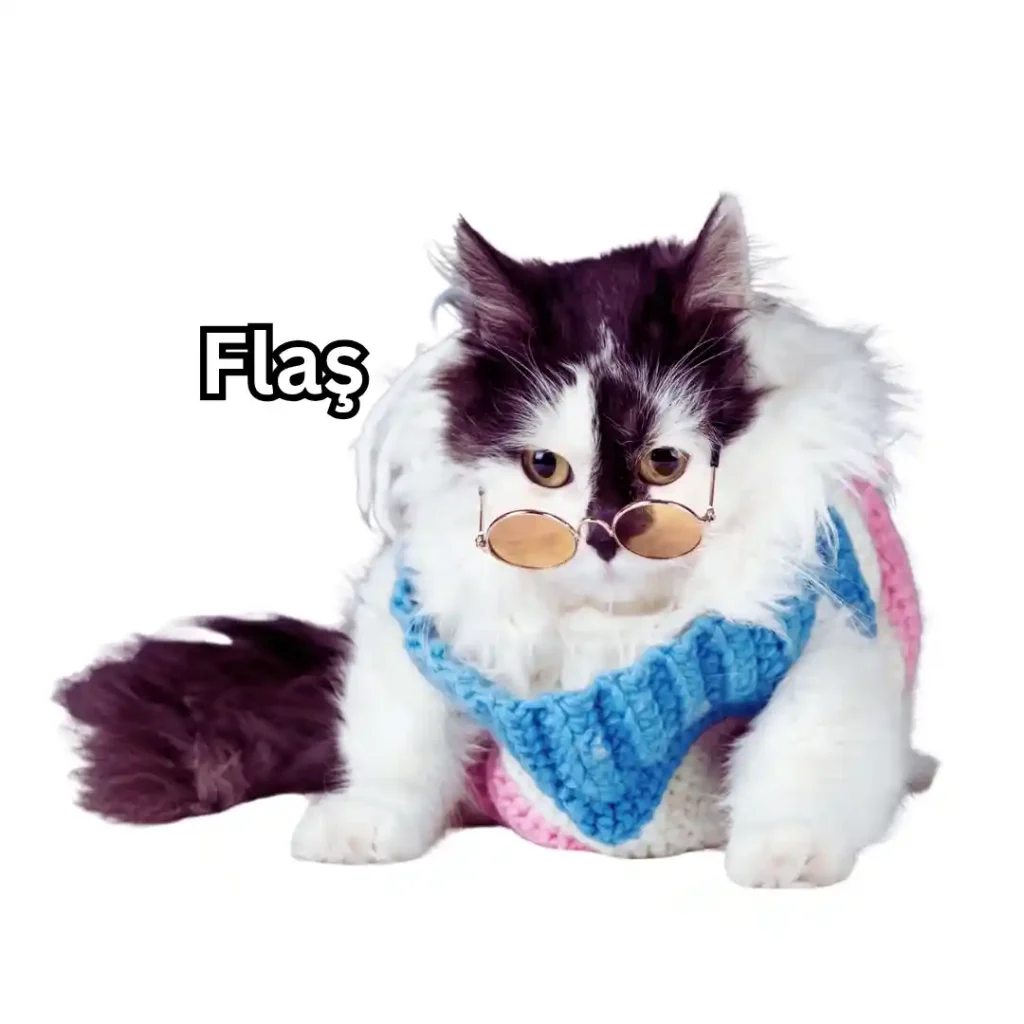 Flaş