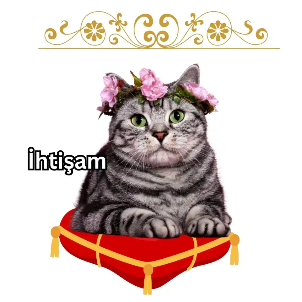 İhtişam