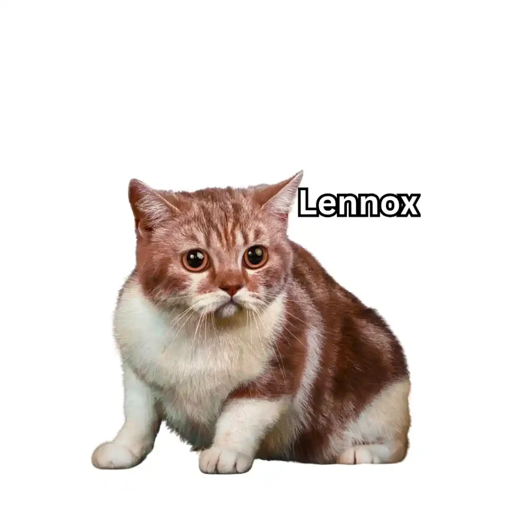 Lennox