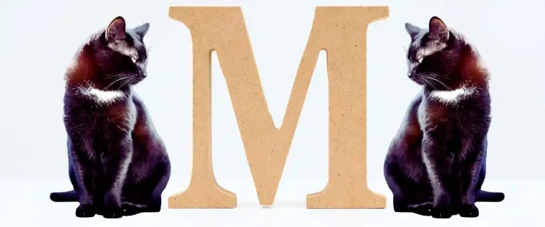 m harfiyle başlayan Erkek Kedi İsimleri